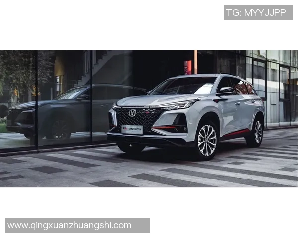 瓦格斯与莱特的巅峰对决谁能在这场战斗中脱颖而出